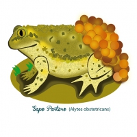 diseno-senaletica-mijares-montanejos09