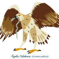 diseno-senaletica-mijares-montanejos12