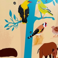 DETALLE ILUSTRACIÓN BIODIVERSIDAD. Panel educativo Villa Purificación (Montanejos).