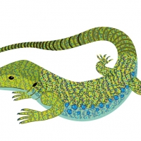 LAGARTO OCELADO. Panel educativo Villa Purificación (Montanejos).