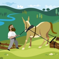 13ilustracion-vectorial-fuente