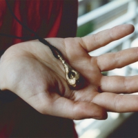 COLGANTE LÁGRIMA (bronce)